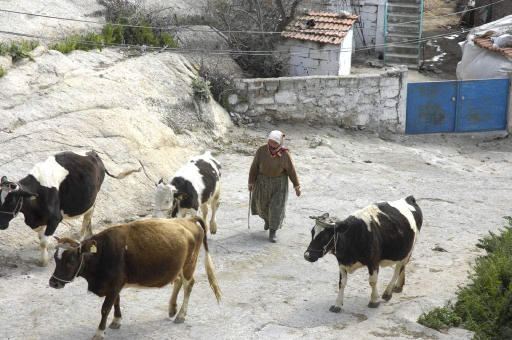 Πλάι μέσα Κοντάρας ΔΙΑΛΕΞΕΙΣ